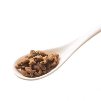 Preview: DeliCATessen - Seefisch & Garnelen